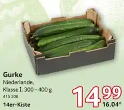 Selgros Gurke 14er-Kiste Angebot