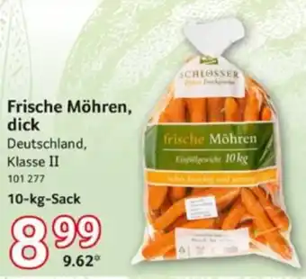 Selgros Frische Möhren, dick Angebot