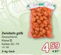 Selgros Zwiebeln gelb Angebot