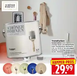 Herkules Baumarkt SCHÖNER WOHNEN Trendfarben Angebot