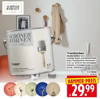 Herkules Baumarkt SCHÖNER WOHNEN Trendfarben Angebot