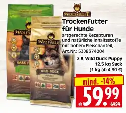 Herkules Baumarkt WOLFSBLUT Trockenfutter für Hunde Angebot