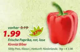 Hepsi-Markt Frische Paprika, rot, lose Kirmizi Biber Angebot