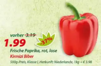 Hepsi-Markt Frische Paprika, rot, lose Kirmizi Biber Angebot