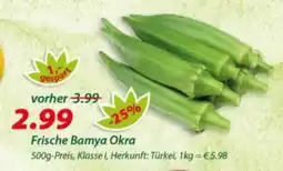 Hepsi-Markt Frische Bamya Okra Angebot