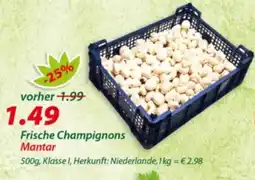 Hepsi-Markt Frische Champignons Mantar Angebot