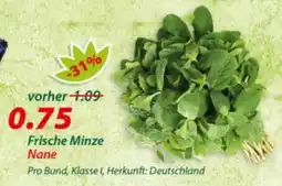 Hepsi-Markt Frische Minze Nane Angebot