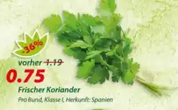 Hepsi-Markt Frischer Koriander Angebot