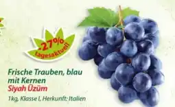Hepsi-Markt Frische Trauben, blau mit Kernen Siyah Üzüm Angebot