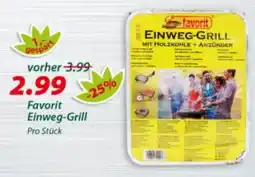 Hepsi-Markt Favorit Einweg-Grill Angebot