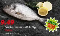 Hepsi-Markt Frische Dorade Angebot
