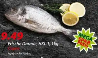 Hepsi-Markt Frische Dorade Angebot