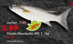 Hepsi-Markt Frische Meeräsche Angebot