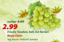 Hepsi-Markt Frische Trauben, hell, mit Kernen Angebot