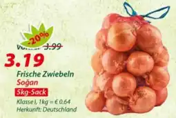 Hepsi-Markt Frische Zwiebeln Soğan Angebot