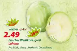 Hepsi-Markt Frischer Weißkohl, groß Lahana Angebot