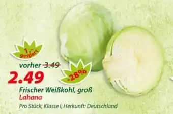 Hepsi-Markt Frischer Weißkohl, groß Lahana Angebot