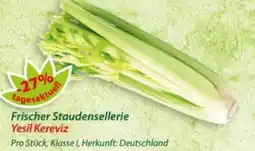 Hepsi-Markt Frischer Staudensellerie Yesil Kereviz Angebot