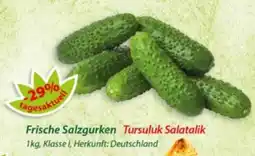 Hepsi-Markt Frische Salzgurken Angebot