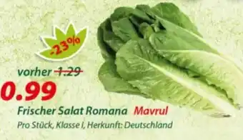 Hepsi-Markt Frischer Salat Romana Mavrul Angebot