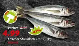 Hepsi-Markt Frischer Stockfisch Angebot