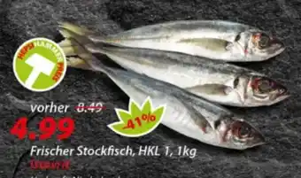 Hepsi-Markt Frischer Stockfisch Angebot