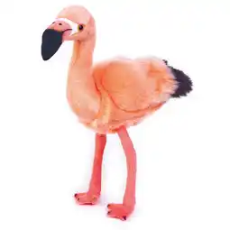Netto Marken-Discount FREEK VONK x BRESSER Flamingo Frida Angebot