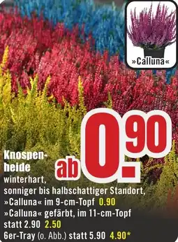 B1 Discount Baumarkt Knospenheide Angebot