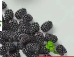 Kaufland Driscoll's Brombeeren Angebot