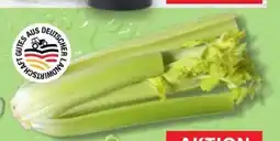Kaufland Staudensellerie Angebot