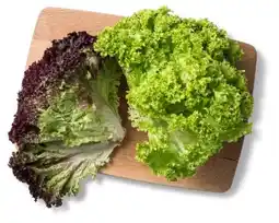 Kaufland Lollo Mix Angebot
