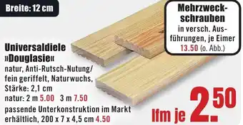 B1 Discount Baumarkt Universaldiele Douglasie Angebot