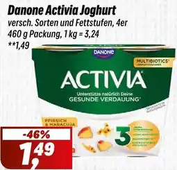 Simmel Danone Activia Joghurt Angebot