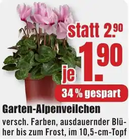 B1 Discount Baumarkt Garten-Alpenveilchen Angebot