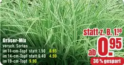 B1 Discount Baumarkt Gräser-Mix Angebot