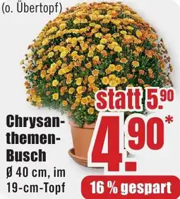 B1 Discount Baumarkt Chrysanthemen Busch Angebot
