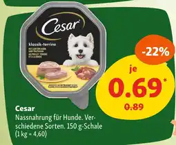 Fressnapf Cesar nassnahrung für hunde Angebot