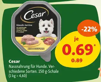 Fressnapf Cesar nassnahrung für hunde Angebot