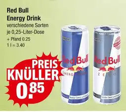 V Markt Red bull energy drink Angebot
