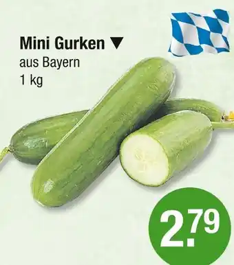 V Markt Mini gurken Angebot