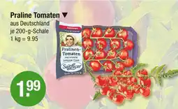 V Markt Sanlucar praline tomaten Angebot