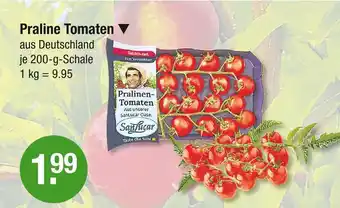 V Markt Sanlucar praline tomaten Angebot