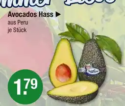 V Markt Avocados hass Angebot