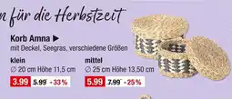 V Markt Korb amna klein Angebot
