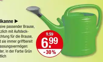 V Markt Gießkanne Angebot