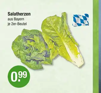 V Markt Salatherzen Angebot