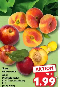 Kaufland Spanische nektarinen Angebot
