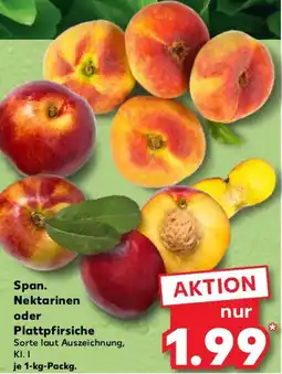 Kaufland Span. Nektarinen oder Plattpfirsiche Angebot