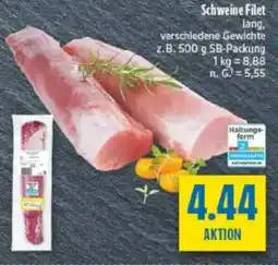 diska Schweine Filet Angebot