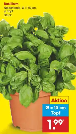 Netto Marken-Discount Basilikum Angebot